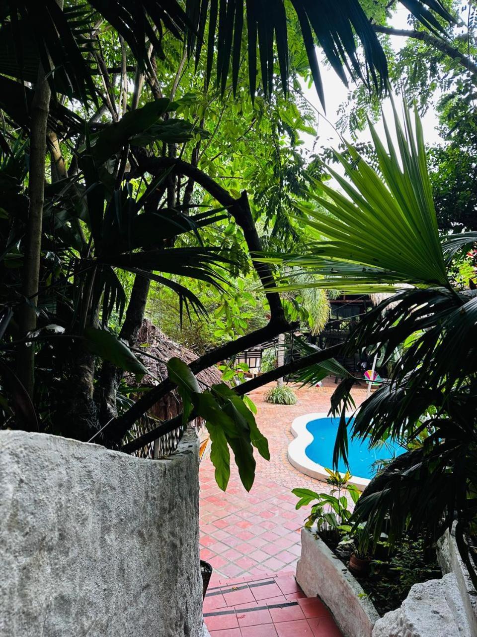 Lodge Cacao El Zaino Esterno foto