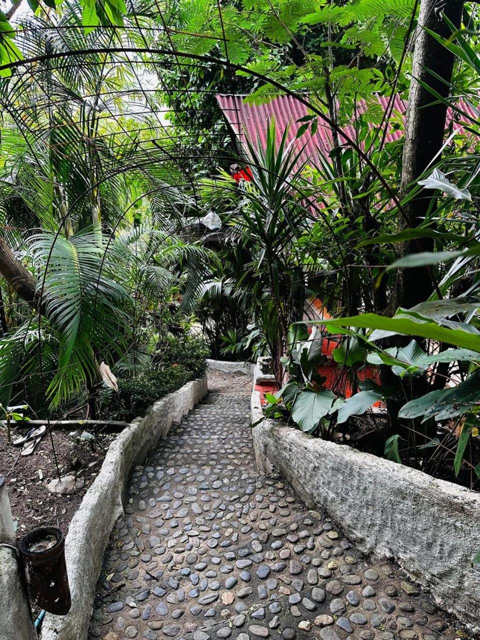 Lodge Cacao El Zaino Esterno foto